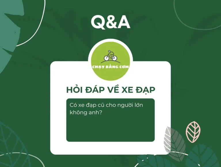 co xe dap cu cho nguoi lon khong anh